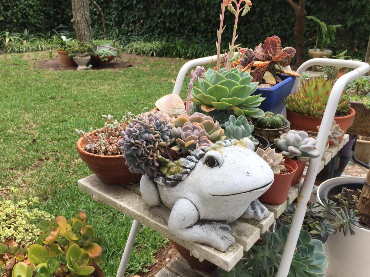 Lei Home Cascais Buitenkant foto